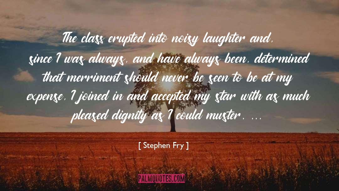 Merriment quotes by Stephen Fry