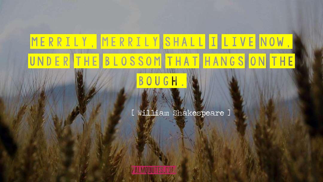 Merriment quotes by William Shakespeare