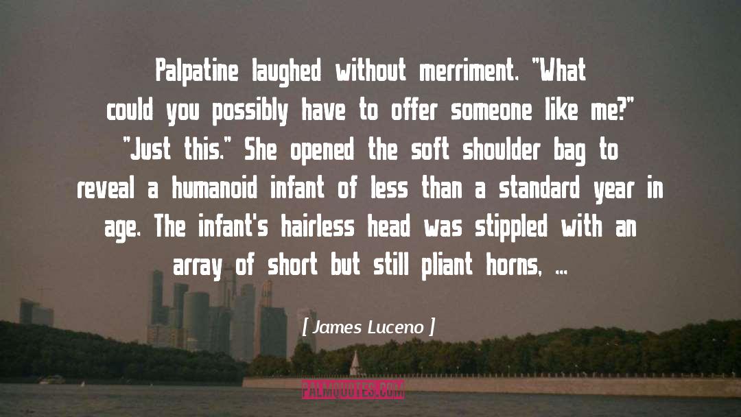 Merriment quotes by James Luceno