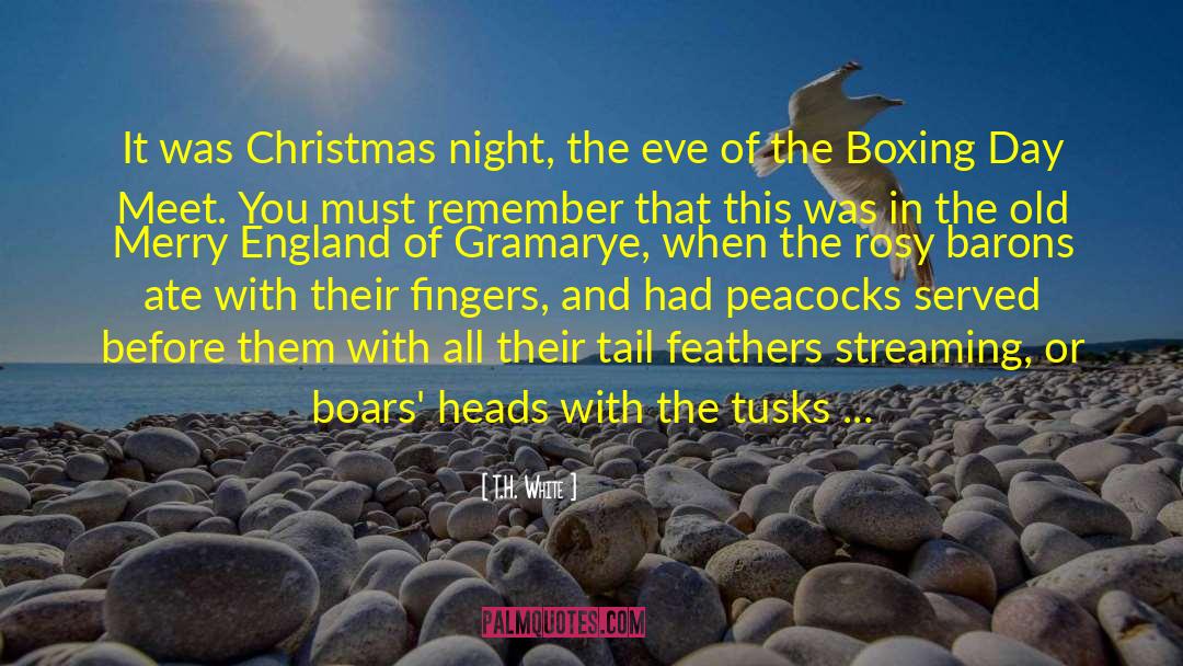 Merry Christmas Inspirational quotes by T.H. White