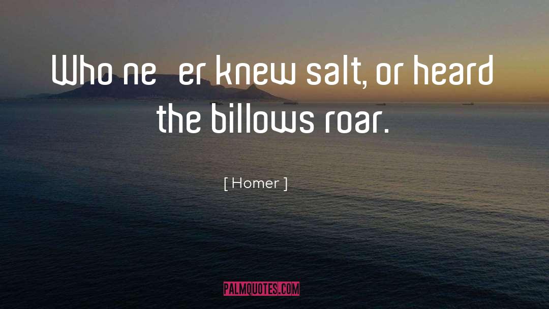 Mertebe Ne quotes by Homer