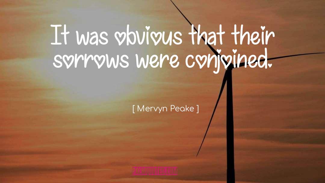 Mervyn Peake quotes by Mervyn Peake