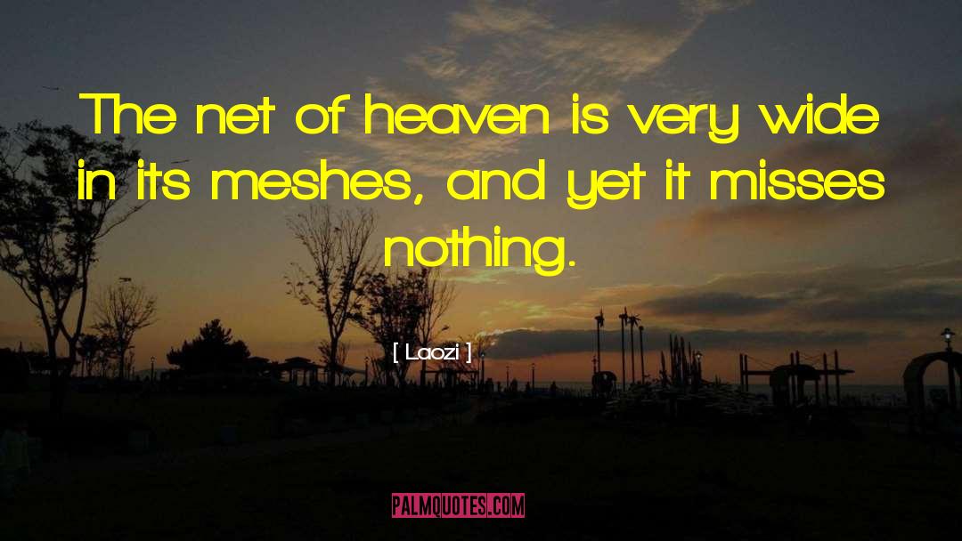 Mesh quotes by Laozi