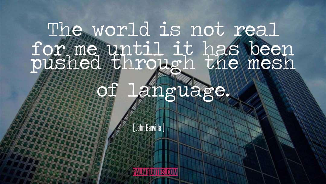 Mesh quotes by John Banville