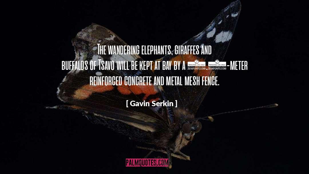 Mesh quotes by Gavin Serkin