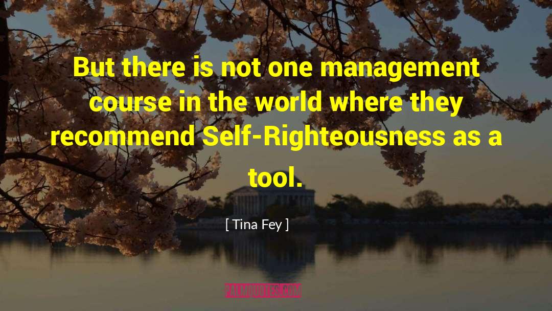 Mesher Tool quotes by Tina Fey