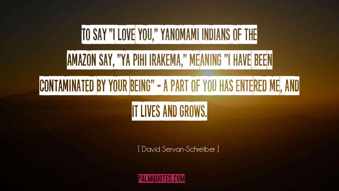 Meshica Indians quotes by David Servan-Schreiber