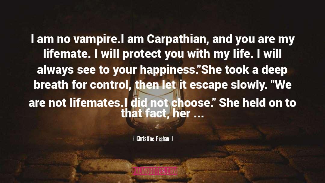 Mesmerizing quotes by Christine Feehan