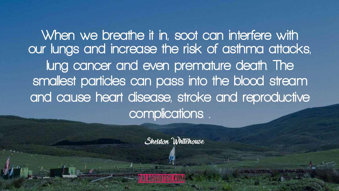 Mesothelioma Cancer quotes by Sheldon Whitehouse