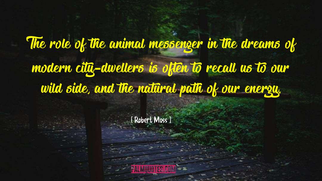 Messenger quotes by Robert Moss