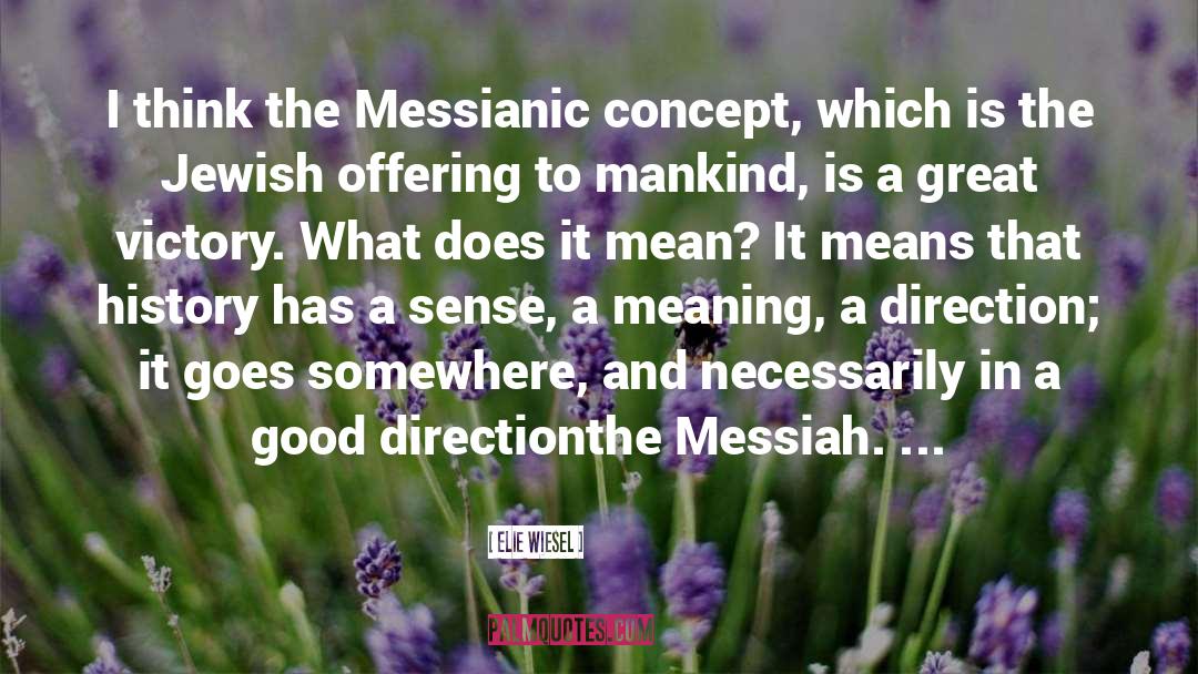 Messiah quotes by Elie Wiesel