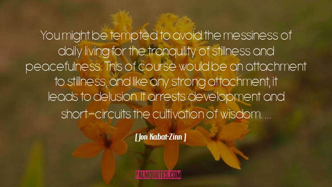 Messiness quotes by Jon Kabat-Zinn