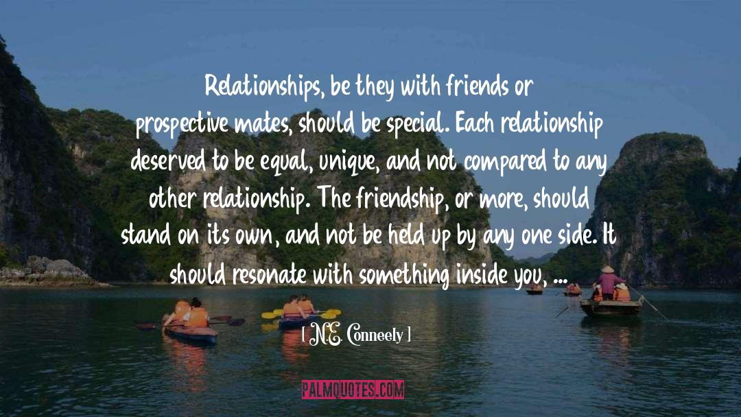 Messing Up Relationships quotes by N.E. Conneely