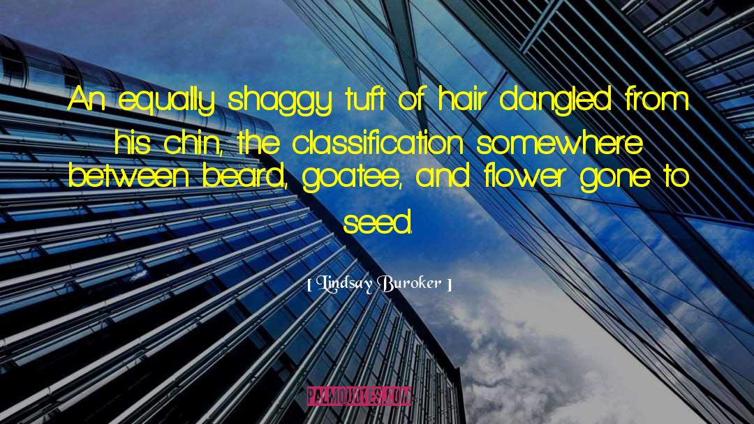 Messy Hair quotes by Lindsay Buroker