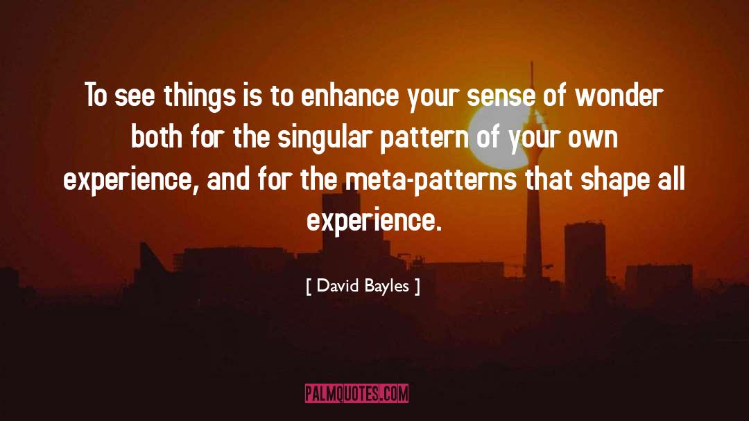 Meta quotes by David Bayles