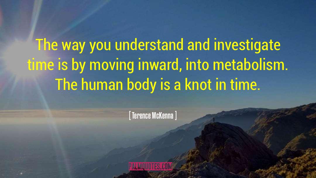 Metabolism quotes by Terence McKenna