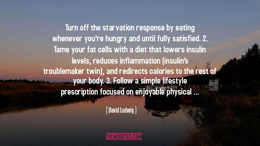 Metabolism quotes by David Ludwig