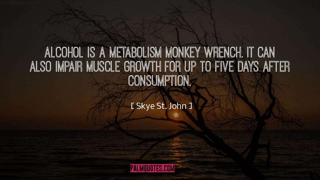 Metabolism quotes by Skye St. John