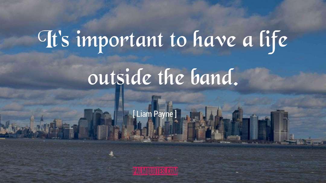 Metalious Band quotes by Liam Payne