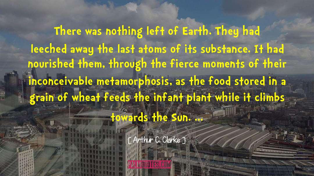 Metamorphosis quotes by Arthur C. Clarke