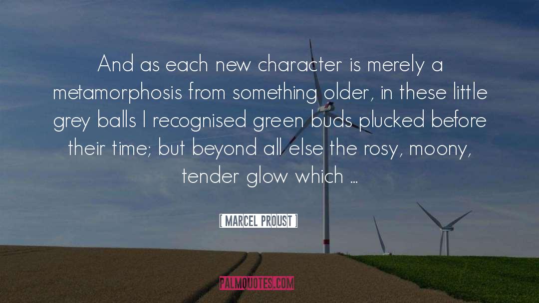 Metamorphosis quotes by Marcel Proust