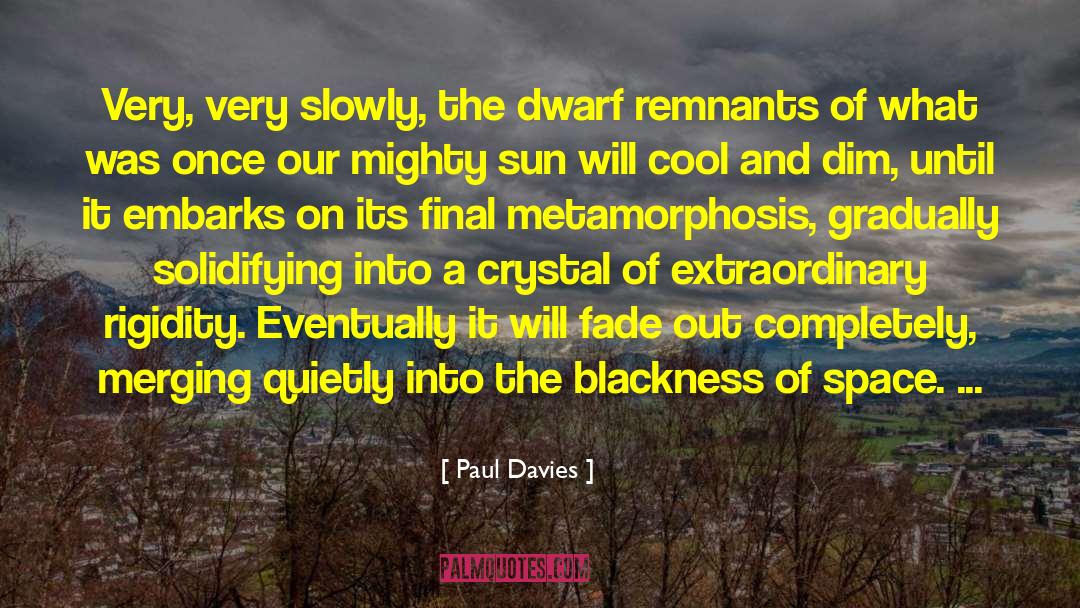 Metamorphosis quotes by Paul Davies