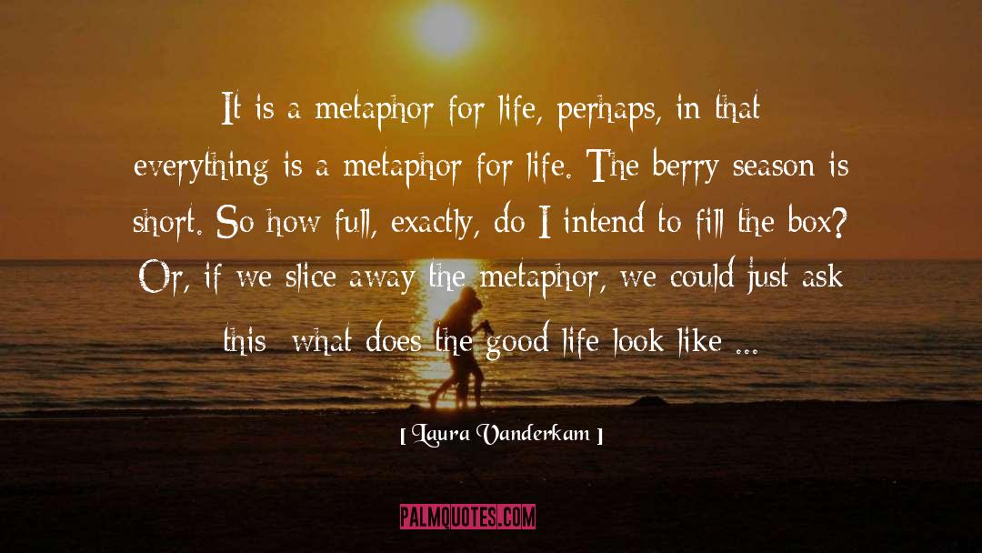 Metaphor For Life quotes by Laura Vanderkam