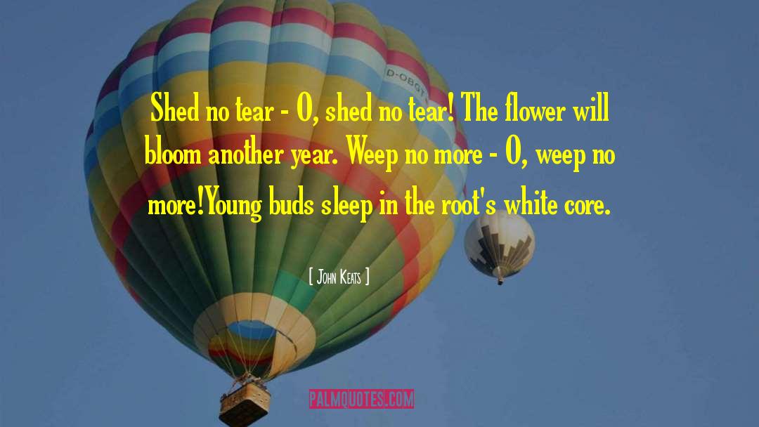 Metaphoric Flower quotes by John Keats