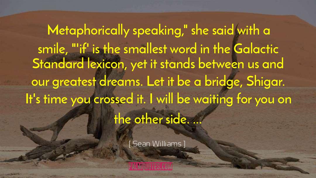 Metaphorically Speaking quotes by Sean Williams