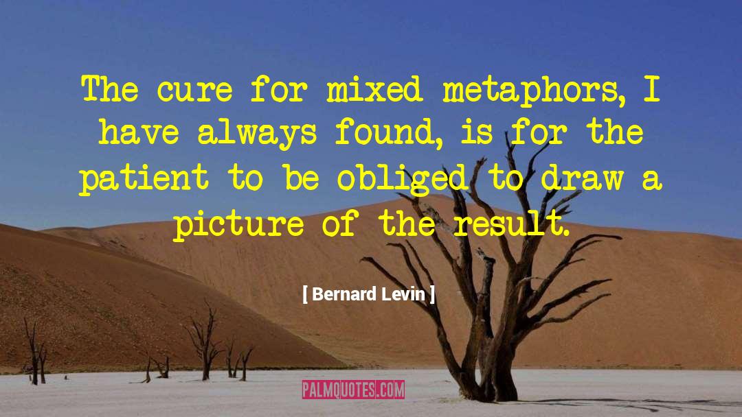 Metaphors quotes by Bernard Levin
