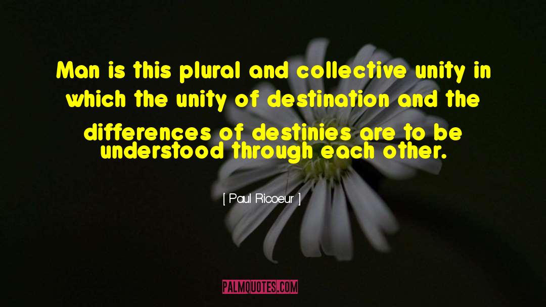 Metaphysical Quest quotes by Paul Ricoeur