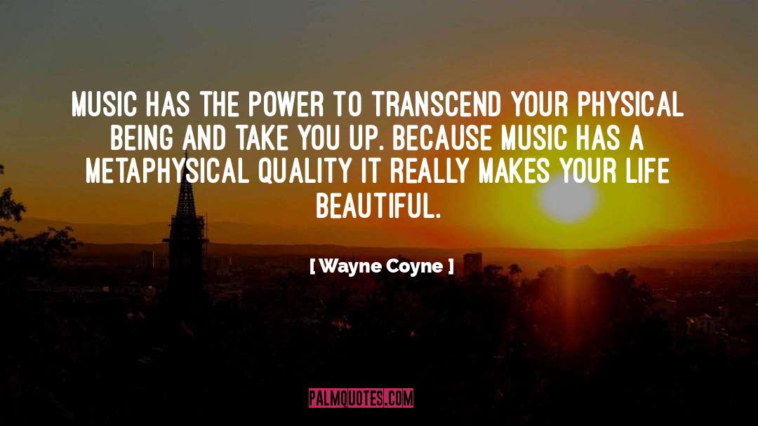 Metaphysical quotes by Wayne Coyne