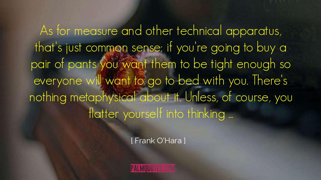 Metaphysical quotes by Frank O'Hara