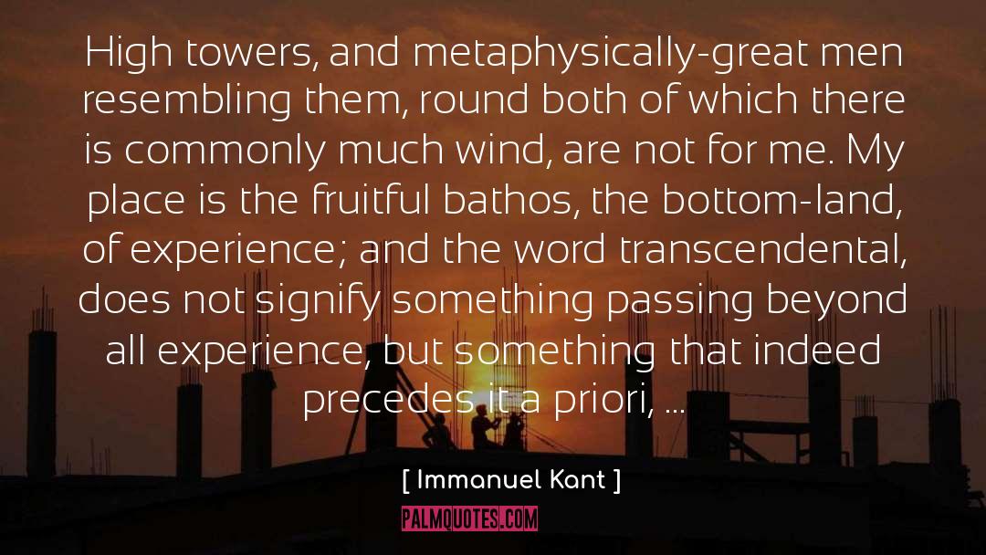 Metaphysically Insecure quotes by Immanuel Kant