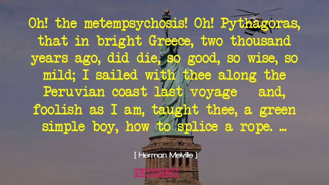 Metempsychosis quotes by Herman Melville