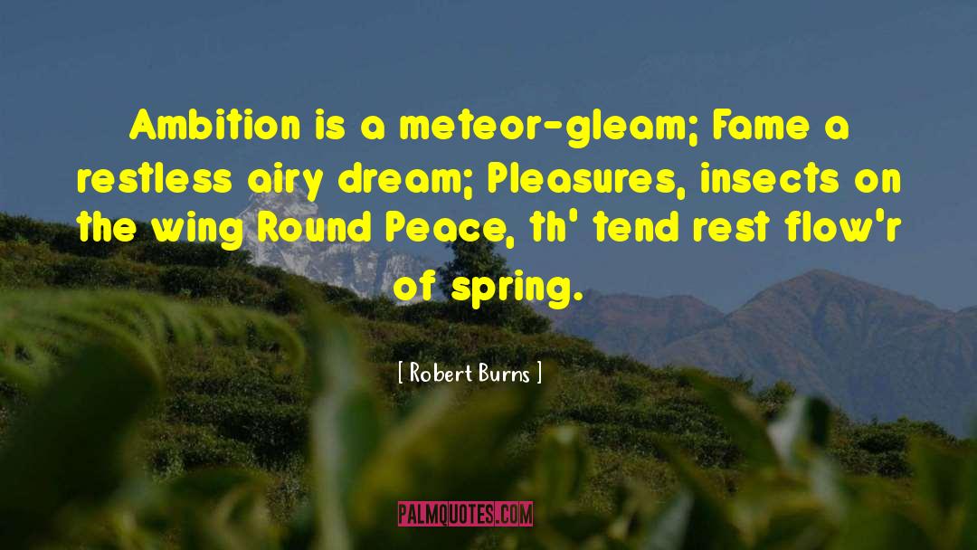 Meteor quotes by Robert Burns