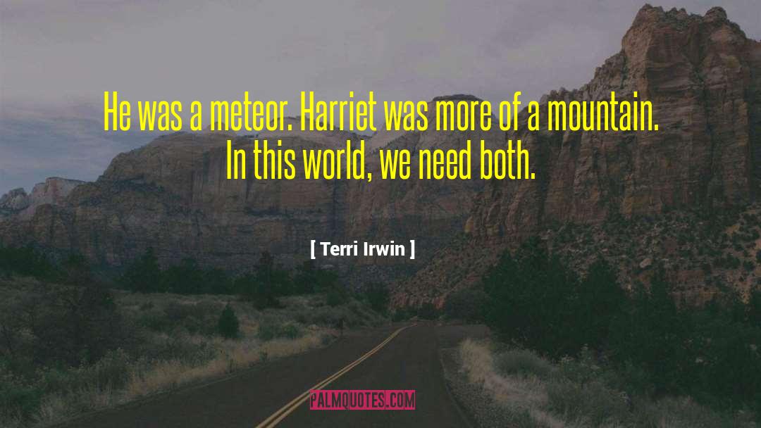 Meteor quotes by Terri Irwin