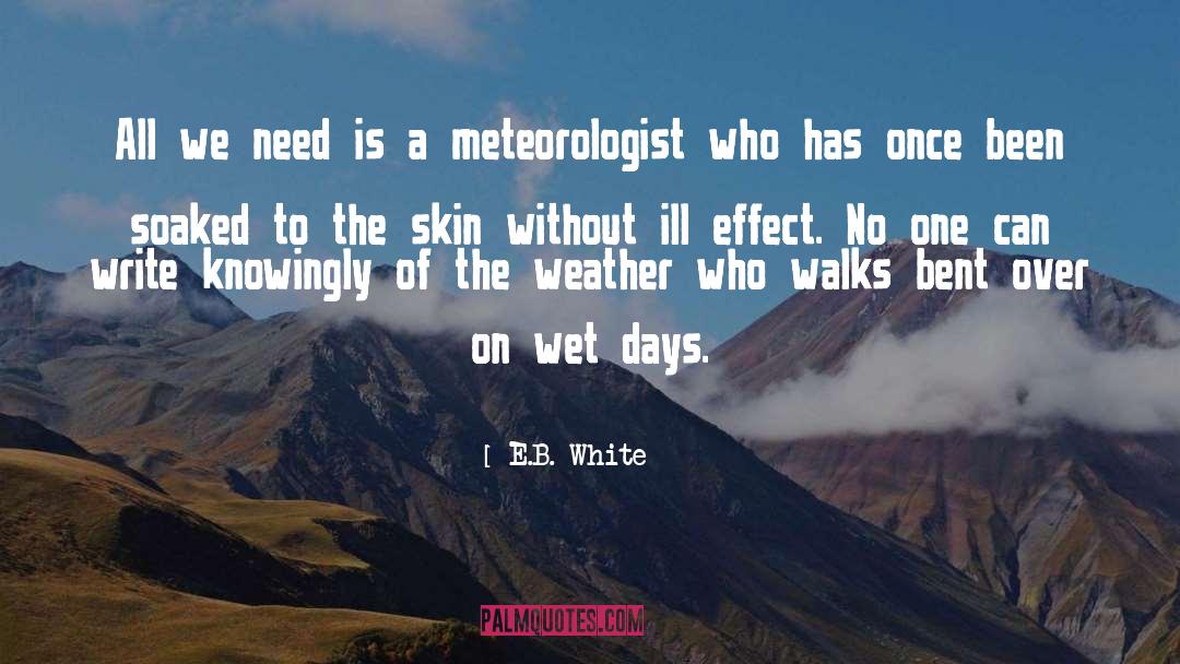 Meteorologists quotes by E.B. White