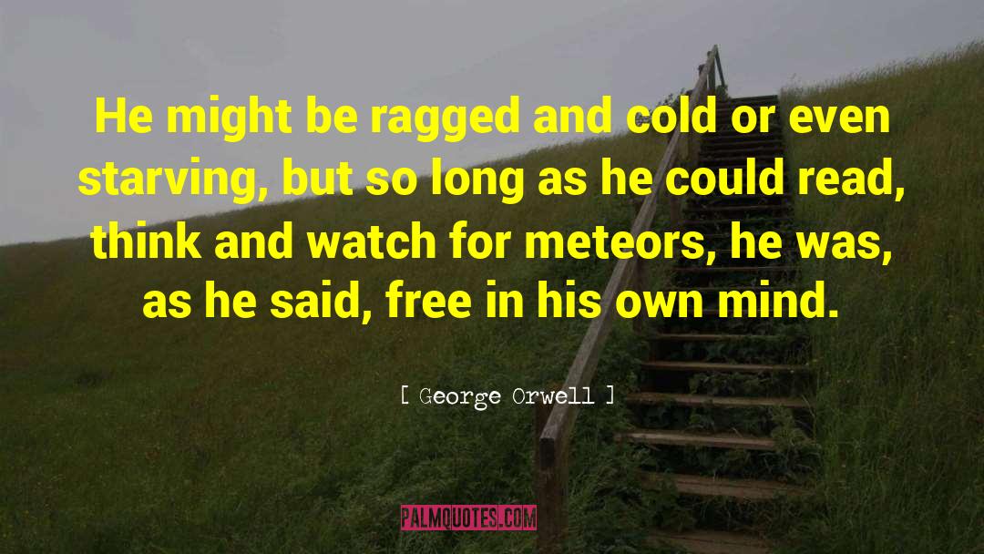 Meteors quotes by George Orwell