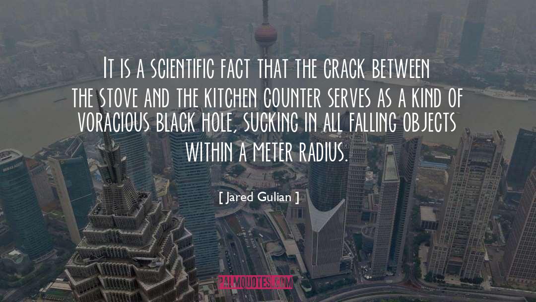 Meter quotes by Jared Gulian