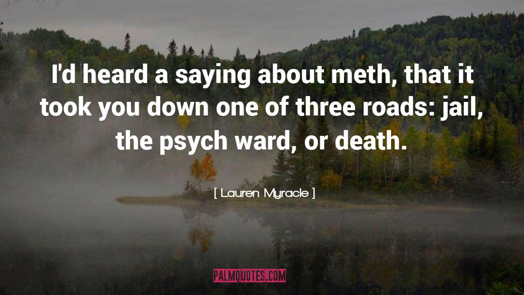 Meth quotes by Lauren Myracle