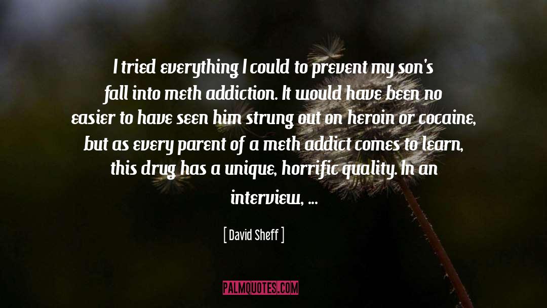 Meth quotes by David Sheff
