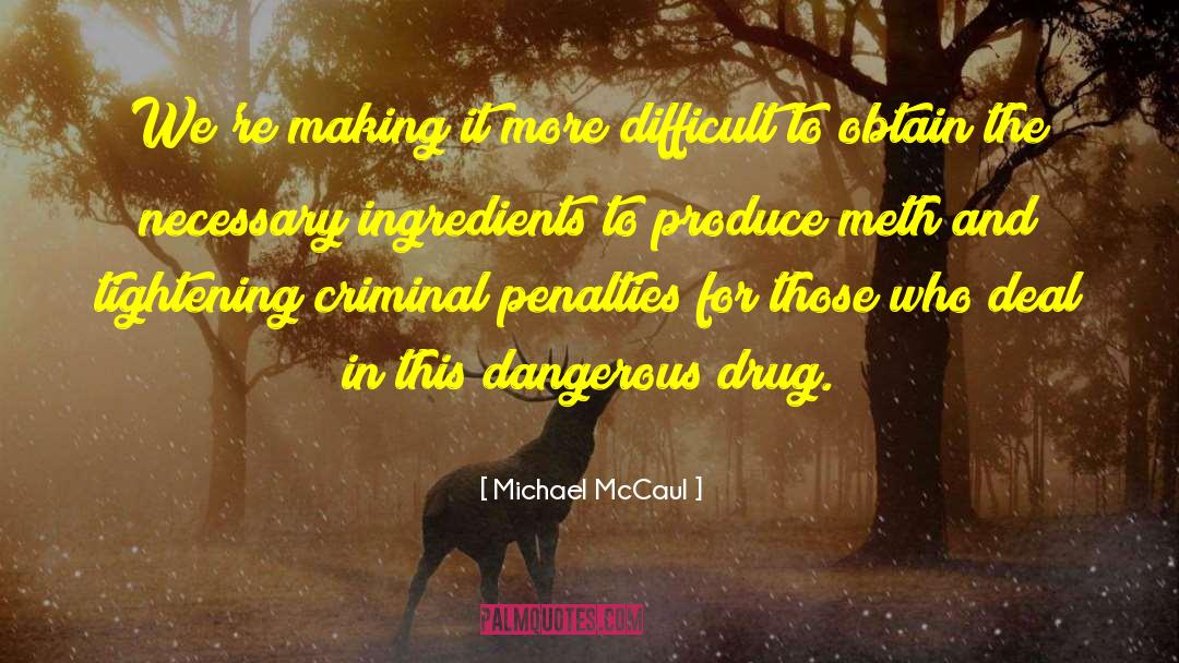 Meth quotes by Michael McCaul
