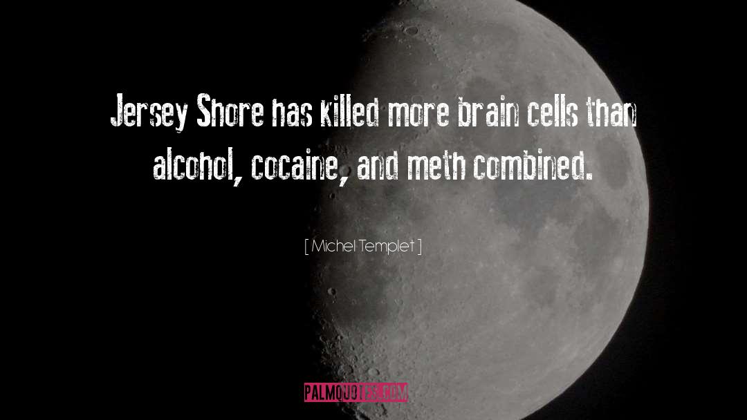 Meth quotes by Michel Templet