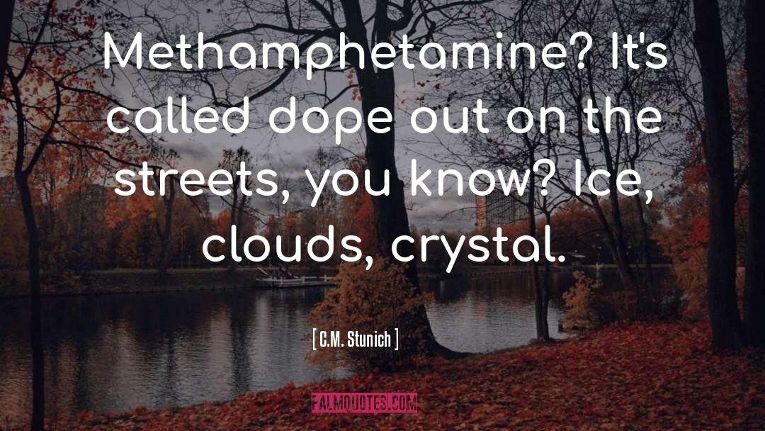 Methamphetamine quotes by C.M. Stunich
