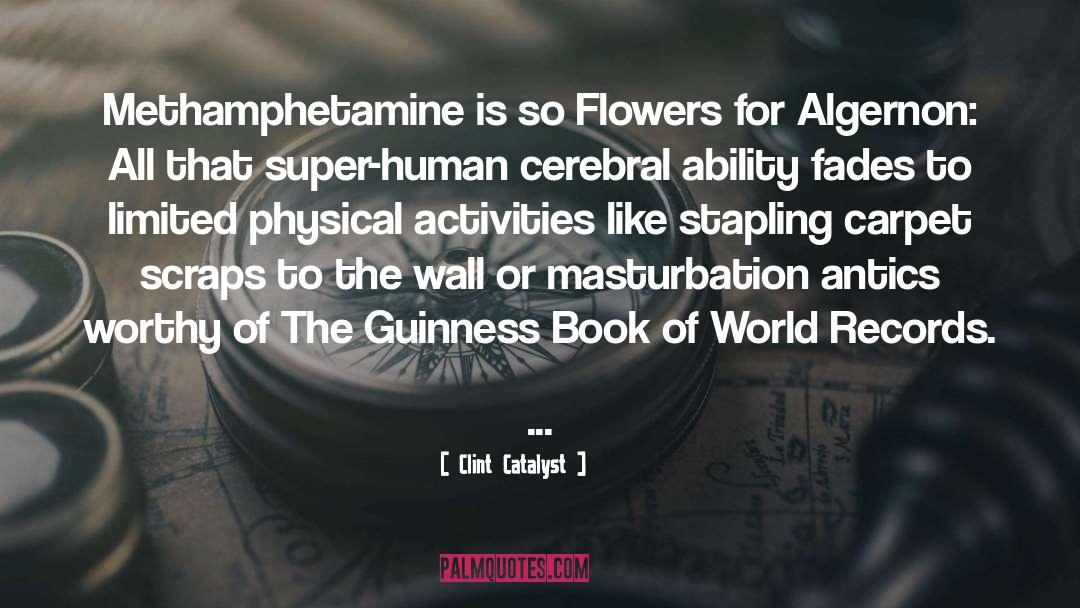 Methamphetamines quotes by Clint Catalyst