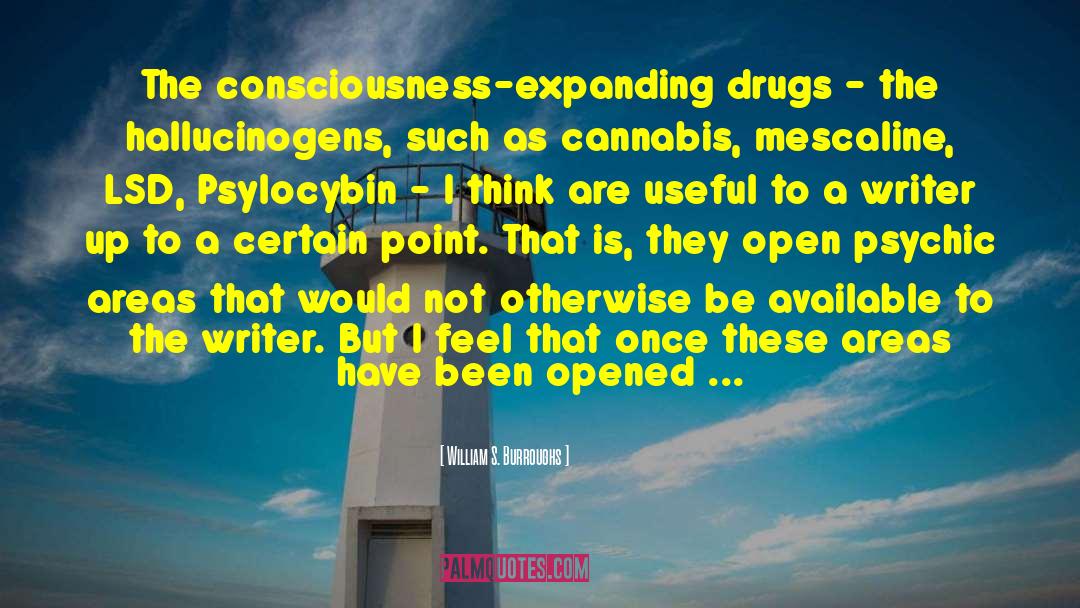 Methedrine Drug quotes by William S. Burroughs