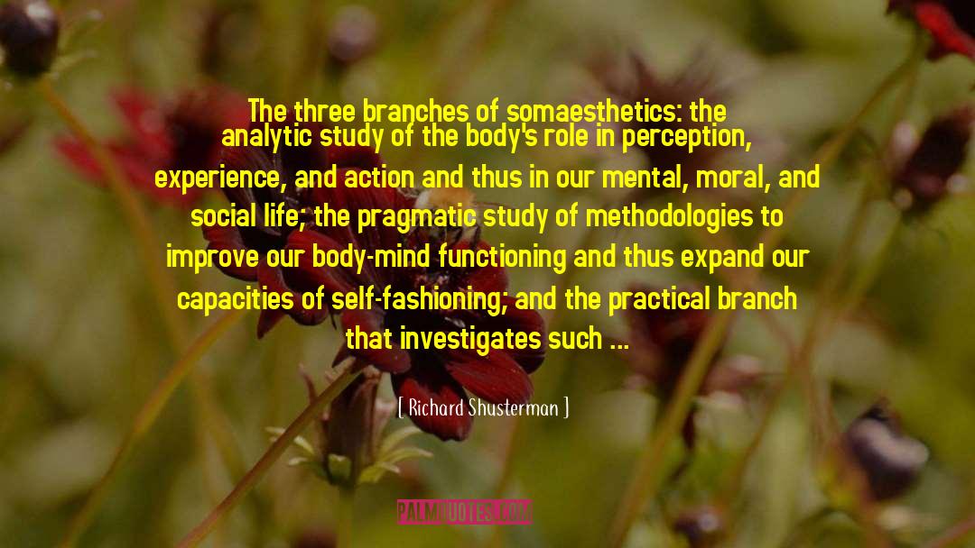 Methodologies quotes by Richard Shusterman