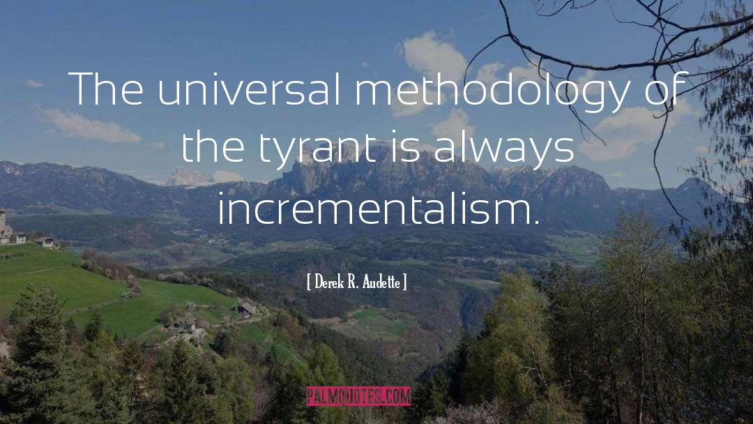 Methodology quotes by Derek R. Audette
