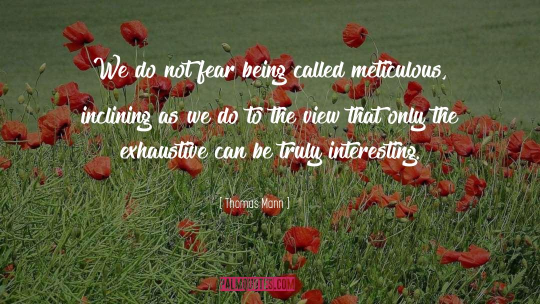 Meticulous quotes by Thomas Mann